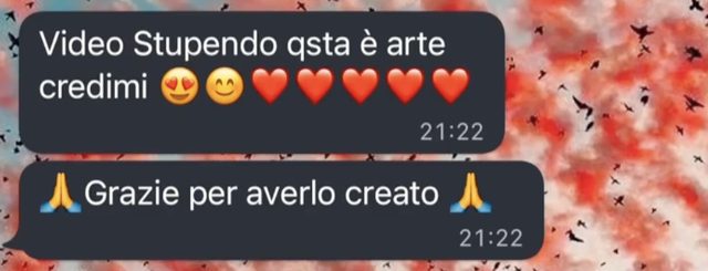 Messaggio: video stupendo, questa è arte