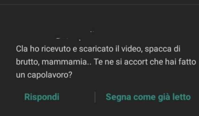 Messaggio: hai fatto un capolavoro